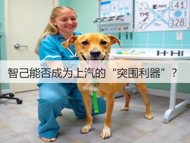 智己能否成为上汽的“突围利器”? 智己能否成为上汽的“突围利器”?
