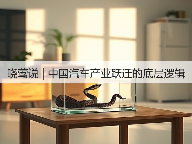 晓莺说 | 中国汽车产业跃迁的底层逻辑