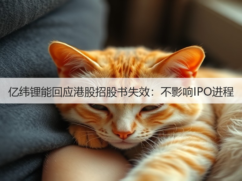 亿纬锂能回应港股招股书失效:不影响IPO进程 亿纬锂能回应港股招股书失效:不影响IPO进程