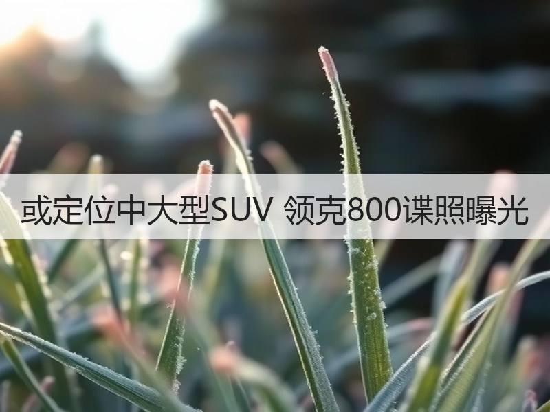 或定位中大型SUV 领克800谍照曝光