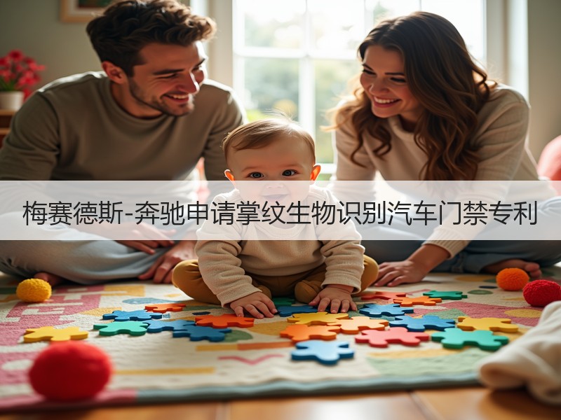 梅赛德斯-奔驰申请掌纹生物识别汽车门禁专利