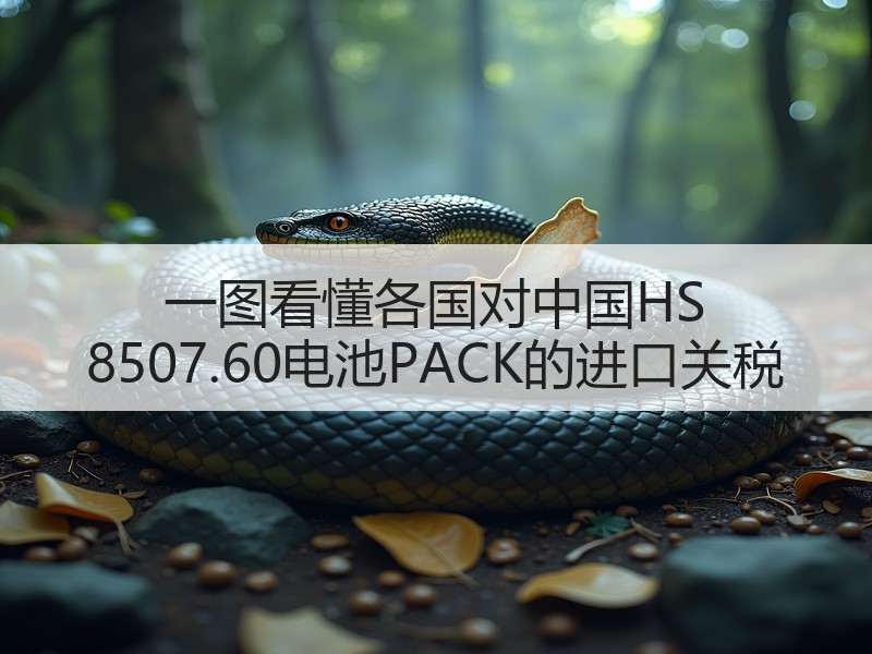 一图看懂各国对中国HS 8507.60电池PACK的进口关税