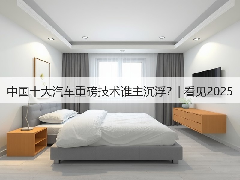 中国十大汽车重磅技术谁主沉浮？| 看见2025