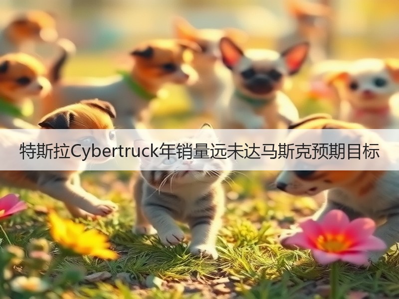 特斯拉Cybertruck年销量远未达马斯克预期目标