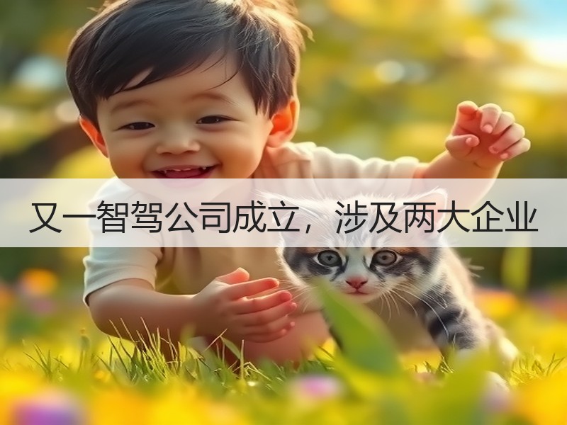 又一智驾公司成立，涉及两大企业