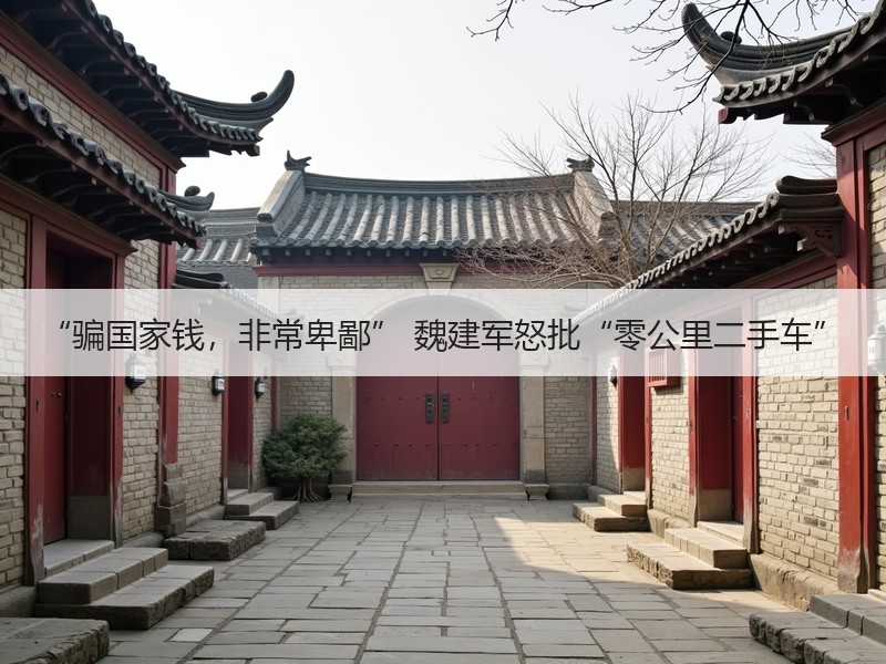 “骗国家钱,非常卑鄙” 魏建军怒批“零公里二手车” “骗国家钱,非常卑鄙” 魏建军怒批“零公里二手车”