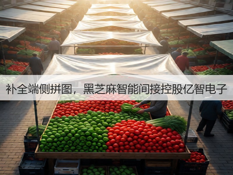 补全端侧拼图，黑芝麻智能间接控股亿智电子