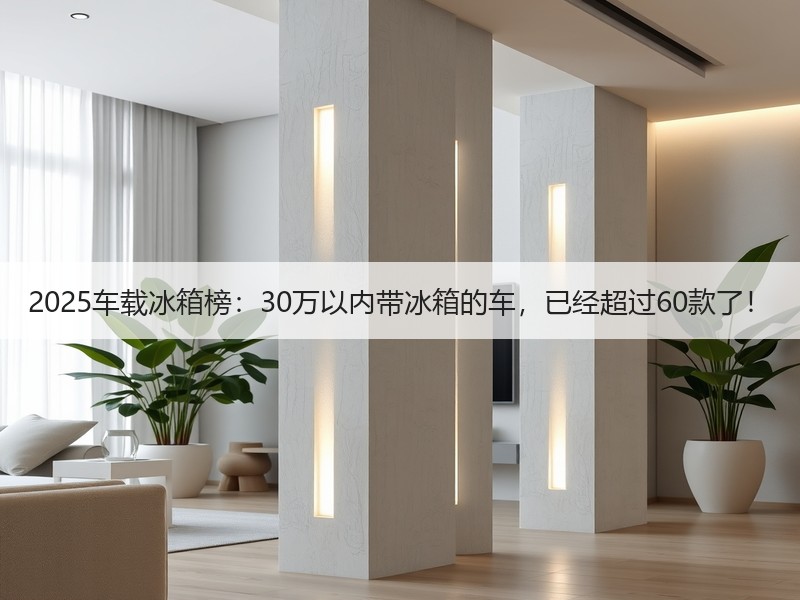 2025车载冰箱榜:30万以内带冰箱的车,已经超过60款了! 2025车载冰箱榜:30万以内带冰箱的车,已经超过60款了!