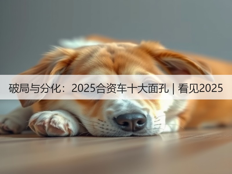 破局与分化：2025合资车十大面孔 | 看见2025