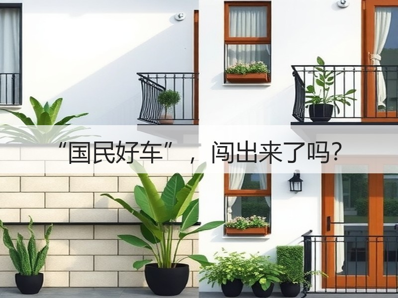 “国民好车”，闯出来了吗？