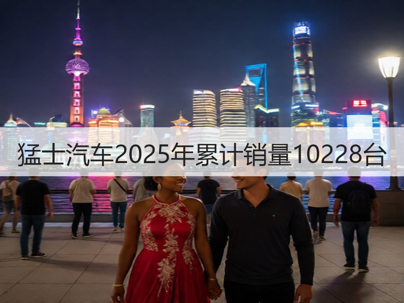 猛士汽车2025年累计销量10228台