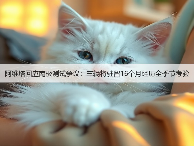 阿维塔回应南极测试争议:车辆将驻留16个月经历全季节考验 阿维塔回应南极测试争议:车辆将驻留16个月经历全季节考验