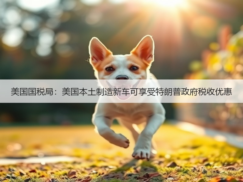 美国国税局：美国本土制造新车可享受特朗普政府税收优惠