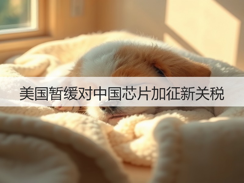 美国暂缓对中国芯片加征新关税 美国暂缓对中国芯片加征新关税