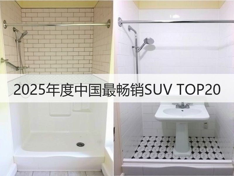 2025年度中国最畅销SUV TOP20