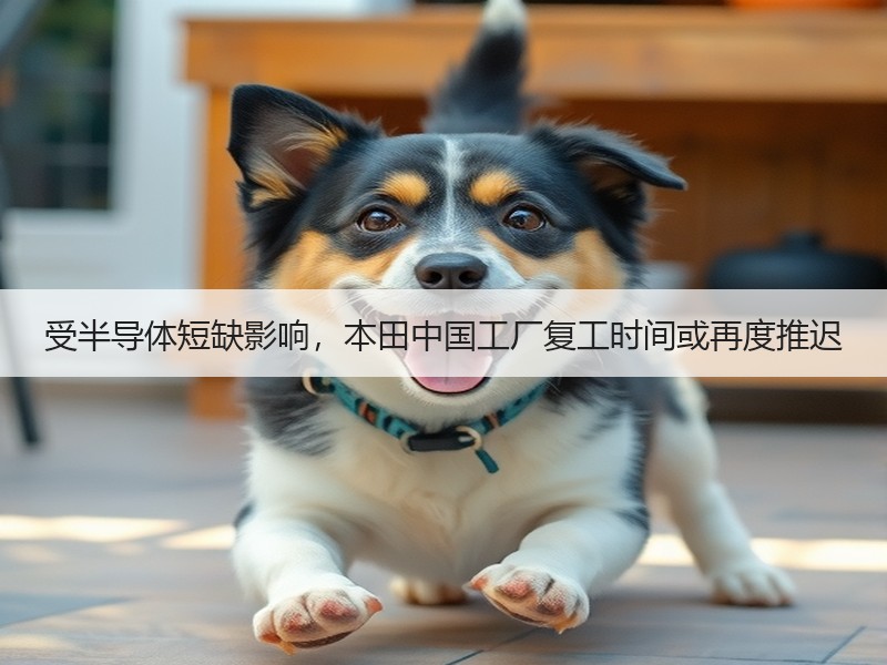受半导体短缺影响，本田中国工厂复工时间或再度推迟