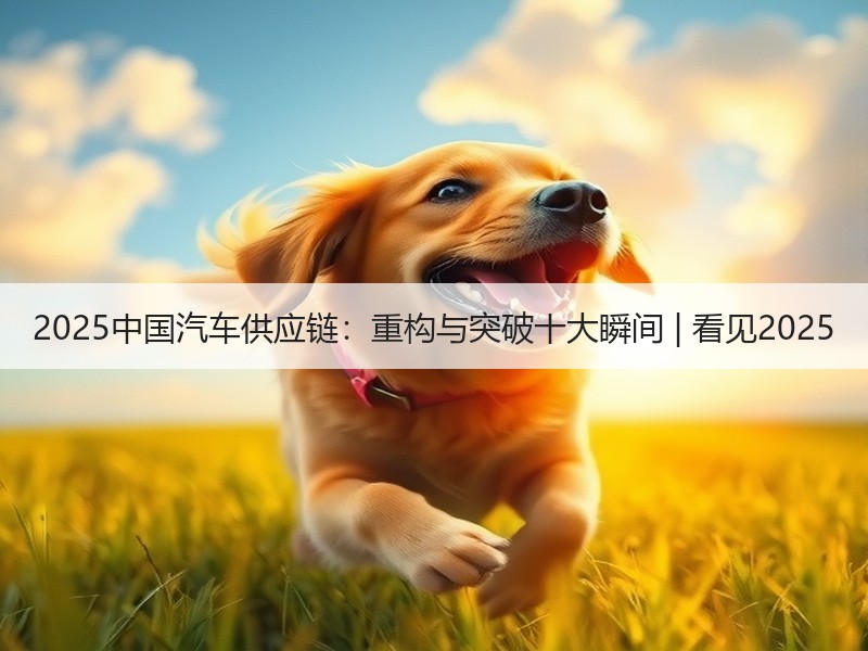 2025中国汽车供应链:重构与突破十大瞬间 | 看见2025 2025中国汽车供应链:重构与突破十大瞬间 | 看见2025