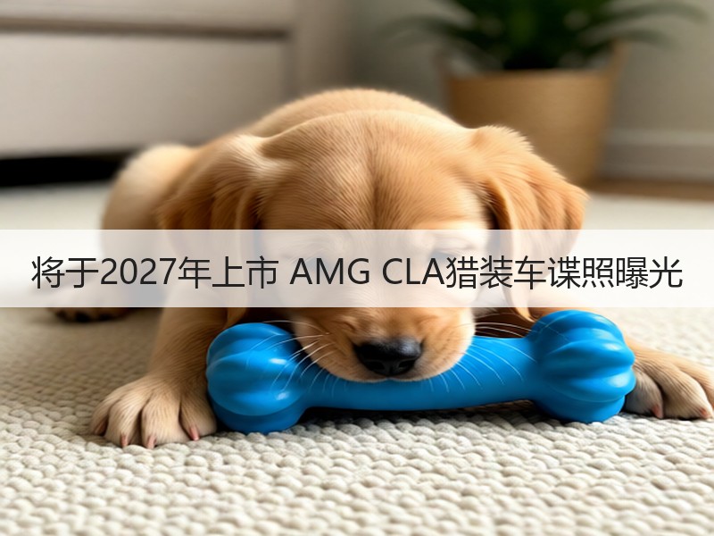 将于2027年上市 AMG CLA猎装车谍照曝光 将于2027年上市 AMG CLA猎装车谍照曝光