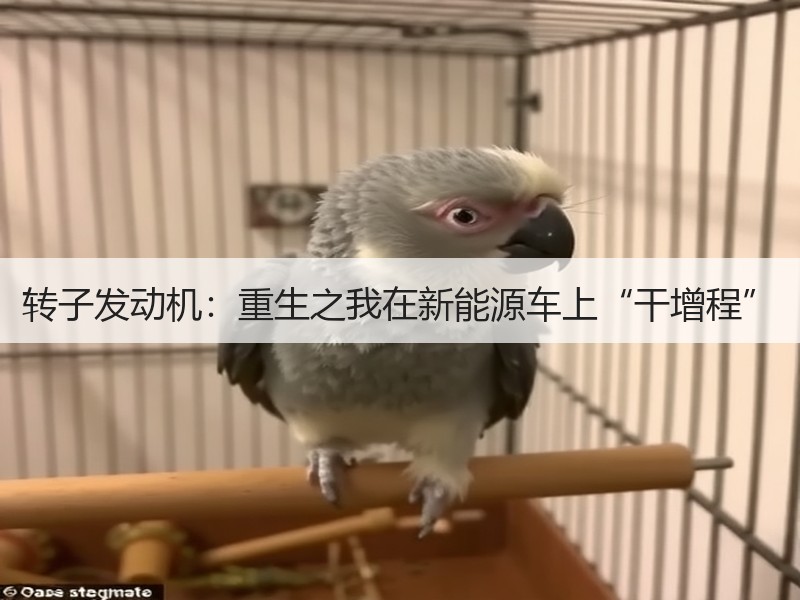 转子发动机:重生之我在新能源车上“干增程” 转子发动机:重生之我在新能源车上“干增程”