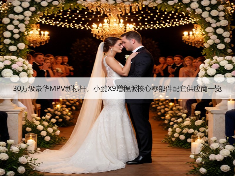 30万级豪华MPV新标杆，小鹏X9增程版核心零部件配套供应商一览