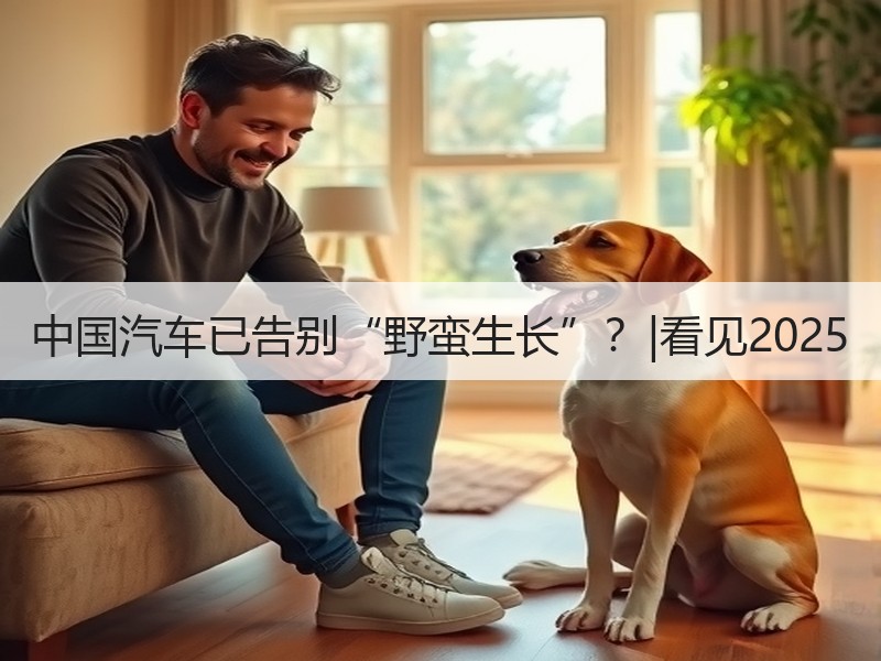 中国汽车已告别“野蛮生长”?|看见2025 中国汽车已告别“野蛮生长”?|看见2025