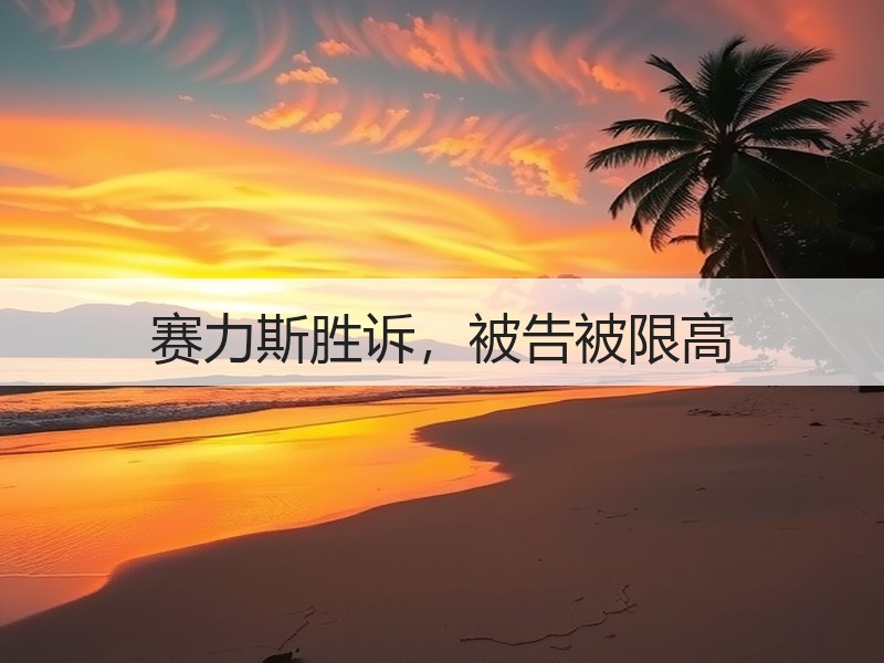 赛力斯胜诉，被告被限高