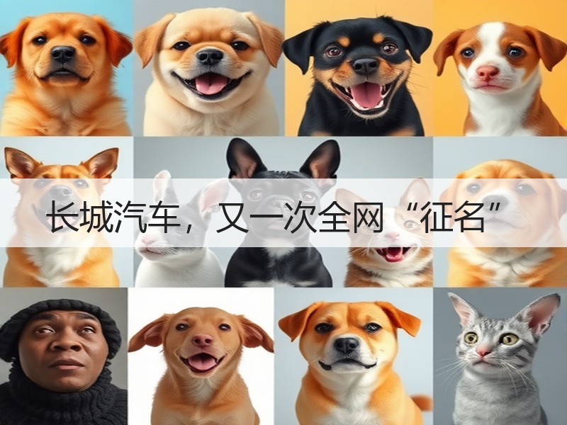 长城汽车，又一次全网“征名”