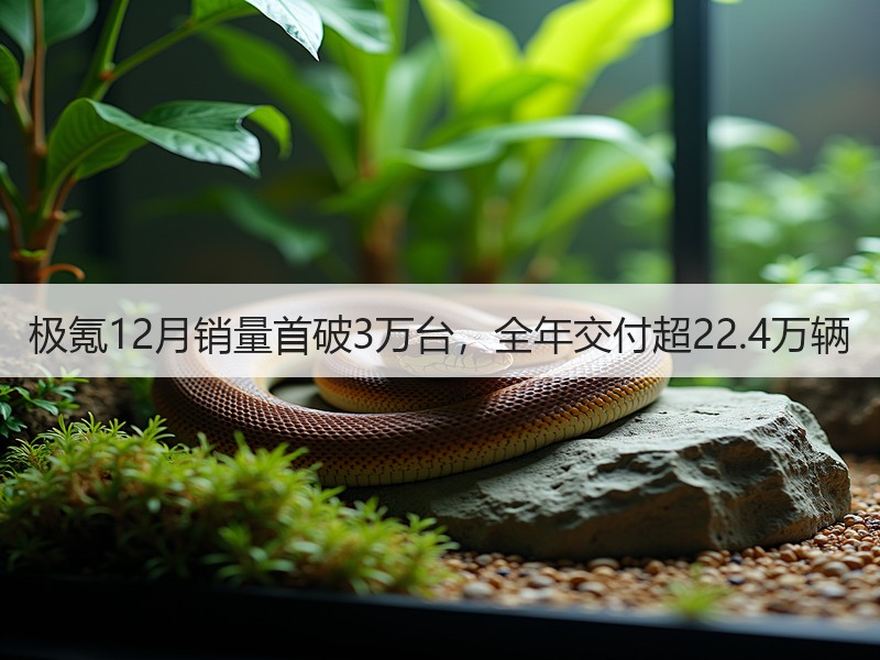 极氪12月销量首破3万台，全年交付超22.4万辆