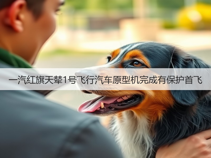 一汽红旗天辇1号飞行汽车原型机完成有保护首飞 一汽红旗天辇1号飞行汽车原型机完成有保护首飞