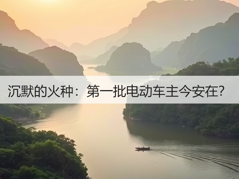 沉默的火种：第一批电动车主今安在？